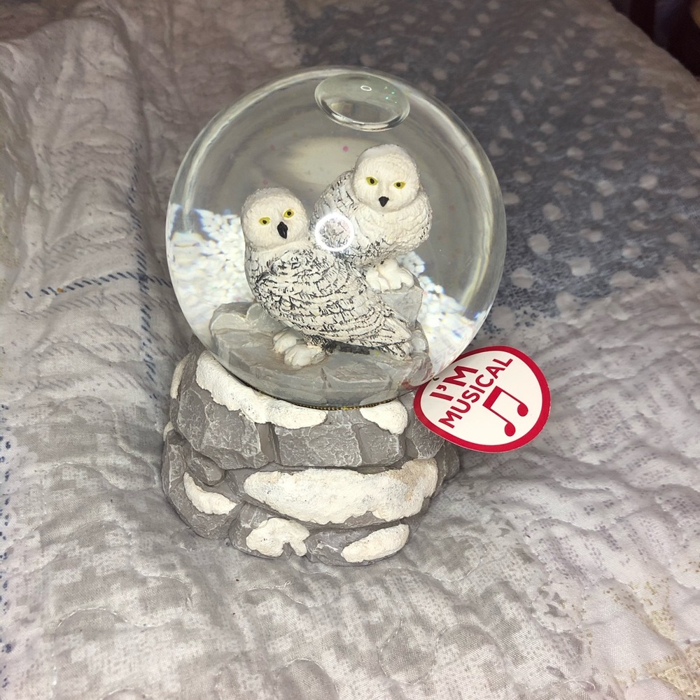 Owl Musical Snow Globe